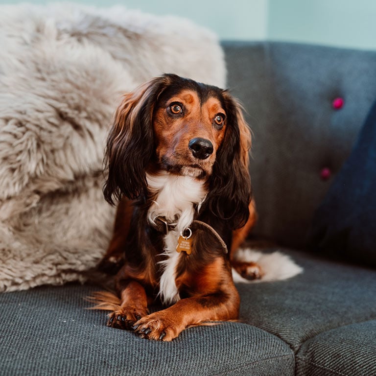 Mashup Trade - About Us